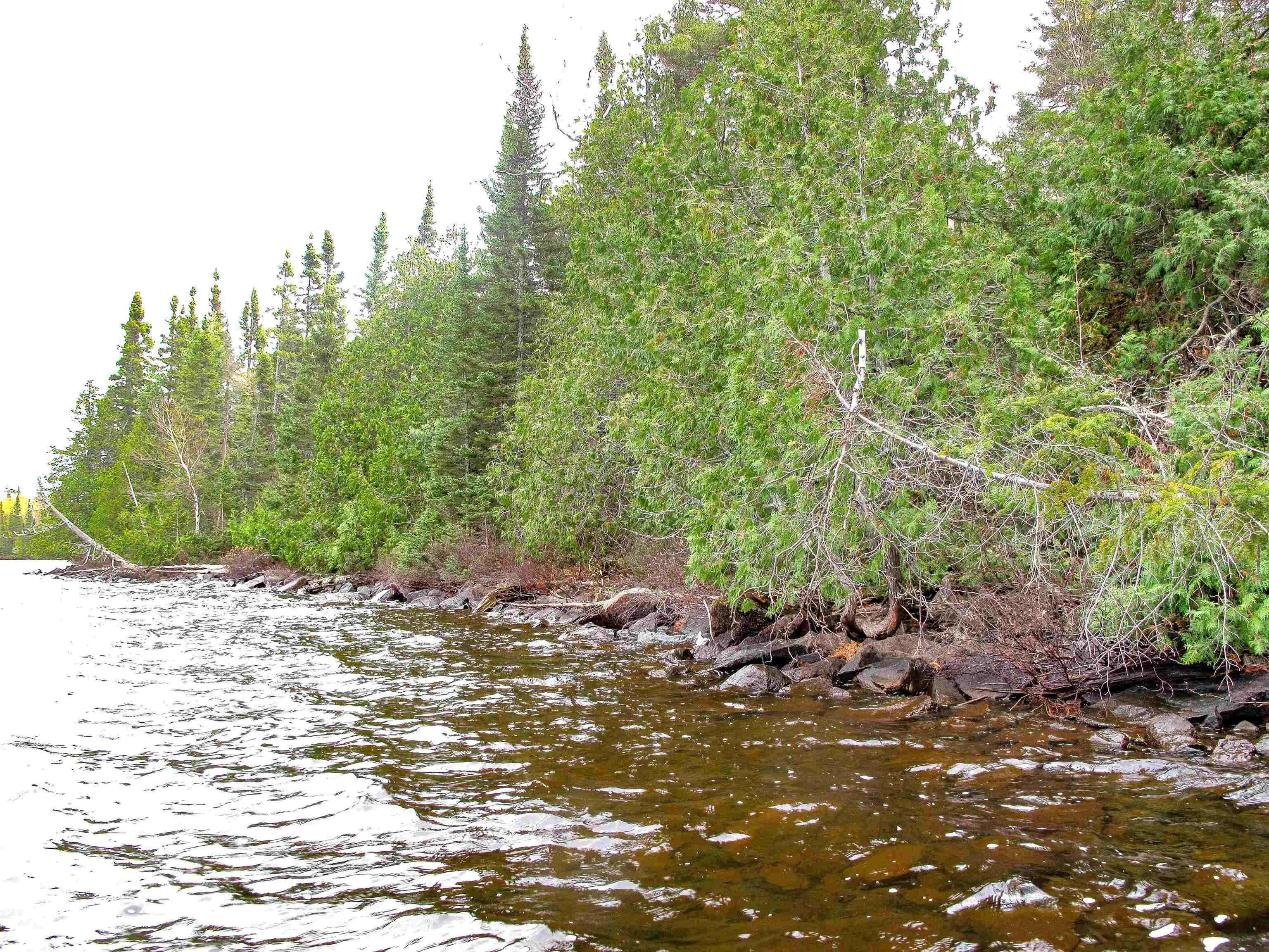 Lot 3 Fullerton Road Grand Marais, MN 55604 - Photo 19 of 39