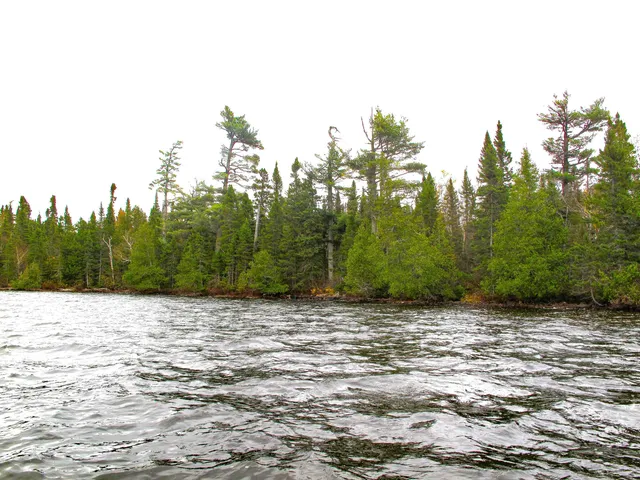 $600,000 | Lot 3 Fullerton Road, Grand Marais, MN 55604