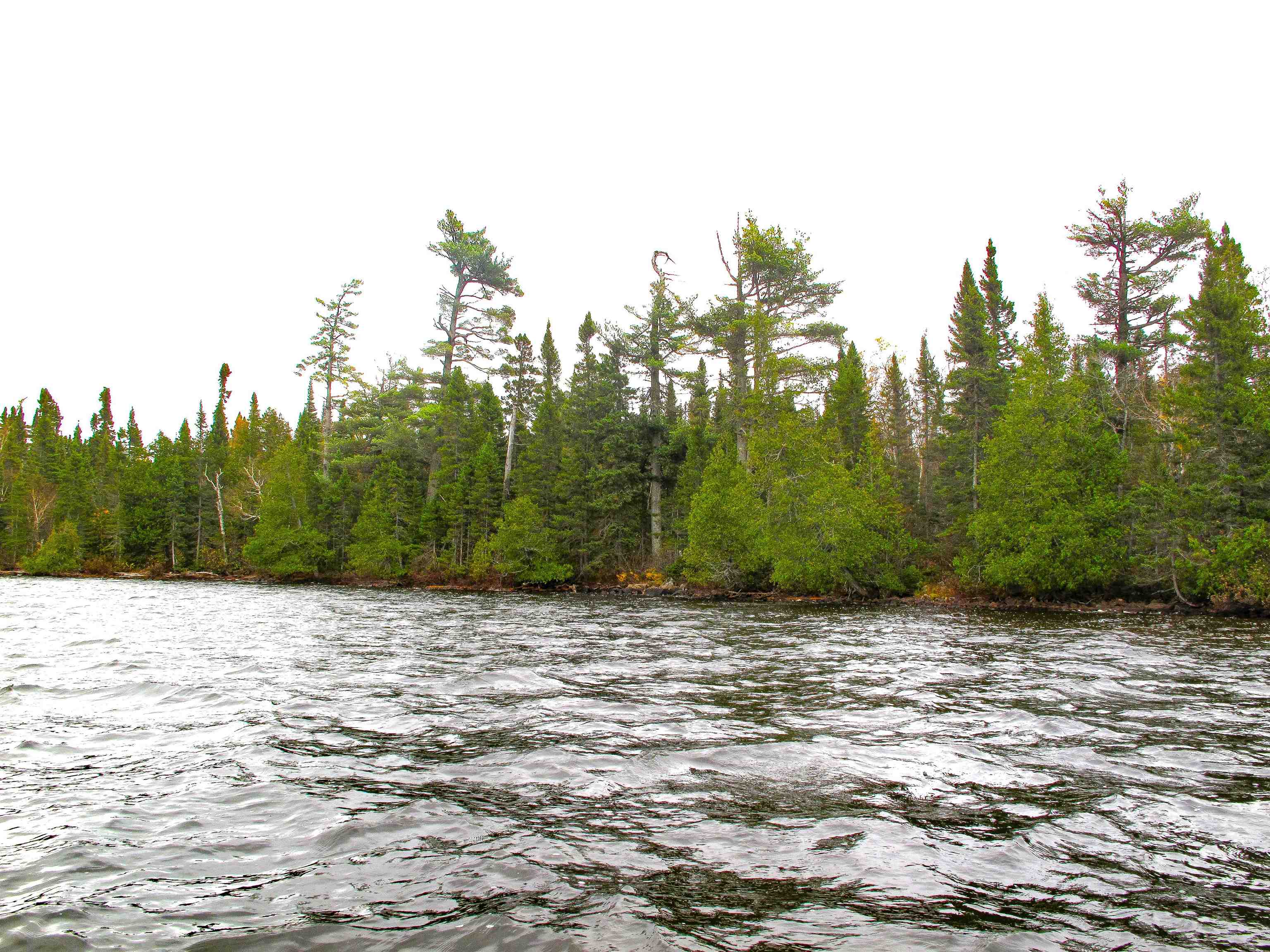 Lot 3 Fullerton Road Grand Marais, MN 55604 - Photo 20 of 39