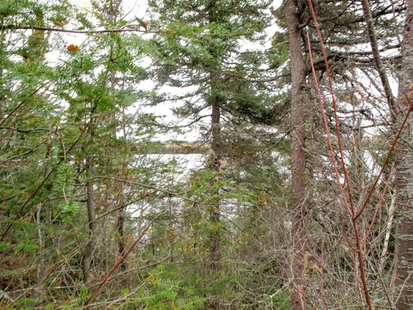 $600,000 | Lot 3 Fullerton Road, Grand Marais, MN 55604