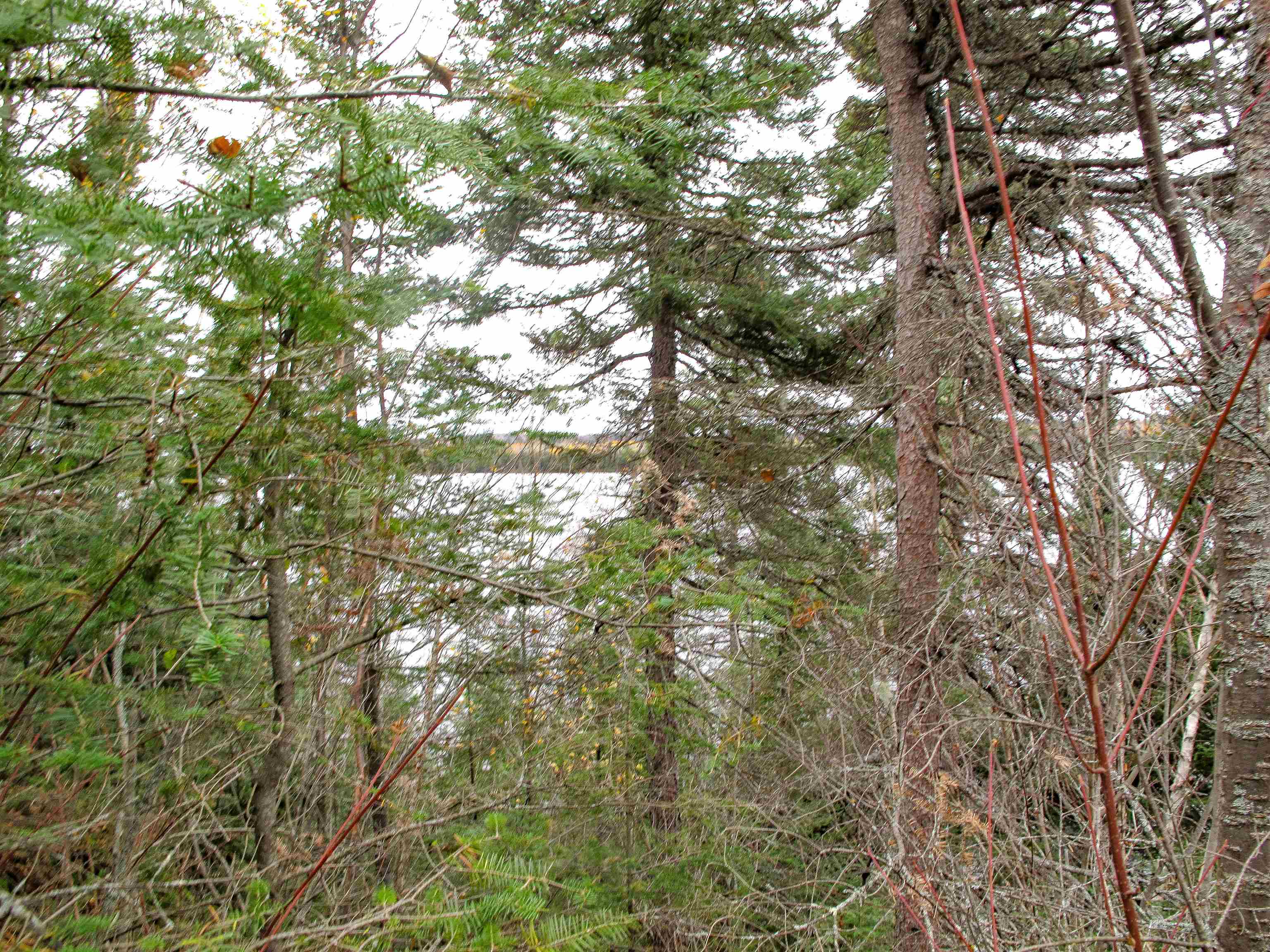 Lot 3 Fullerton Road Grand Marais, MN 55604 - Photo 29 of 39