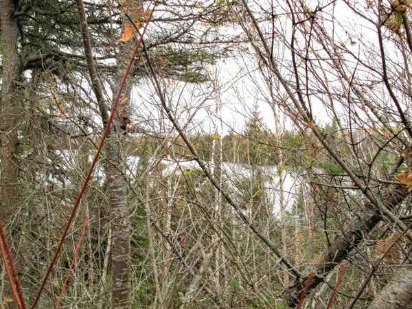 $600,000 | Lot 3 Fullerton Road, Grand Marais, MN 55604