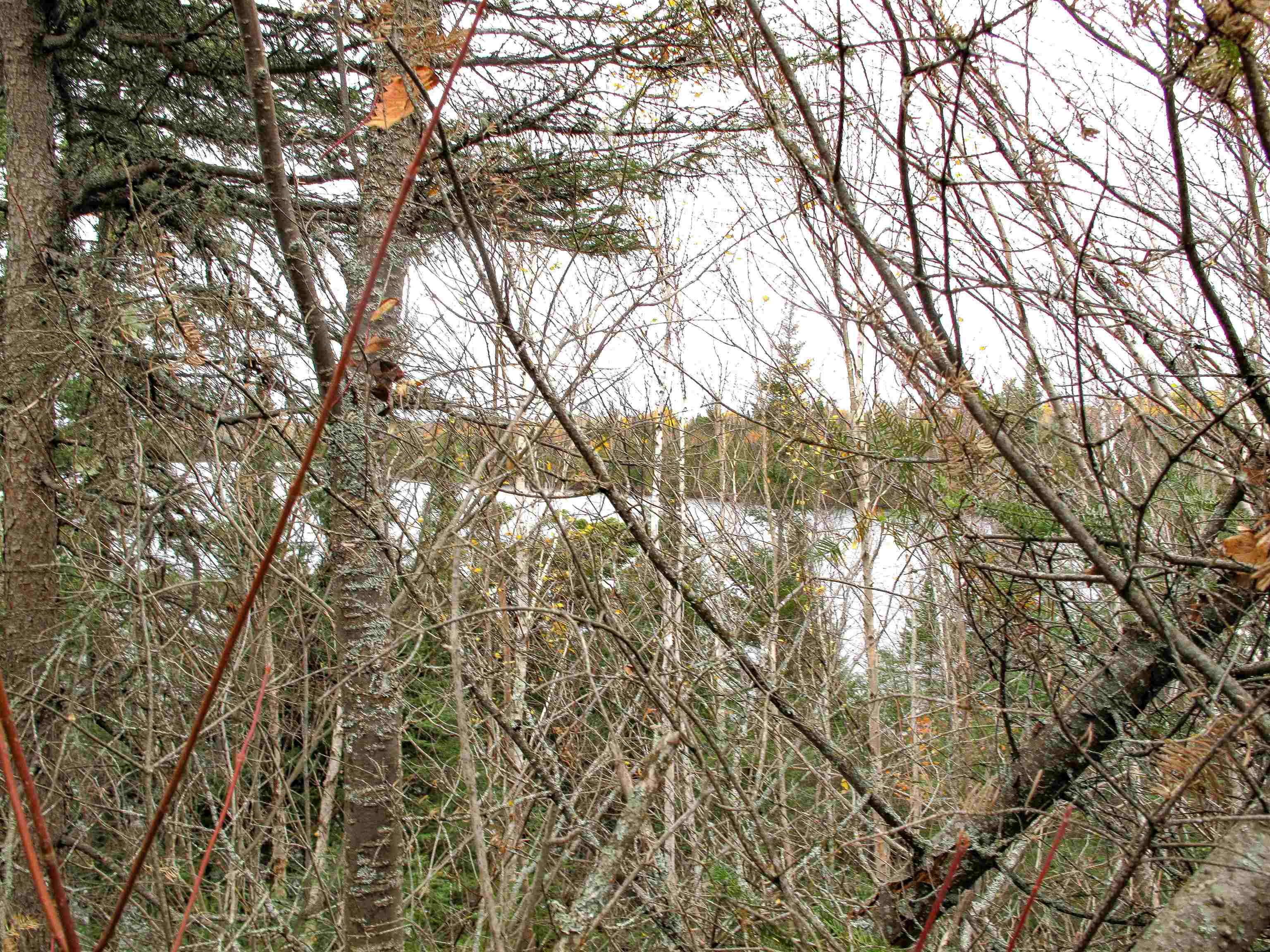 Lot 3 Fullerton Road Grand Marais, MN 55604 - Photo 30 of 39