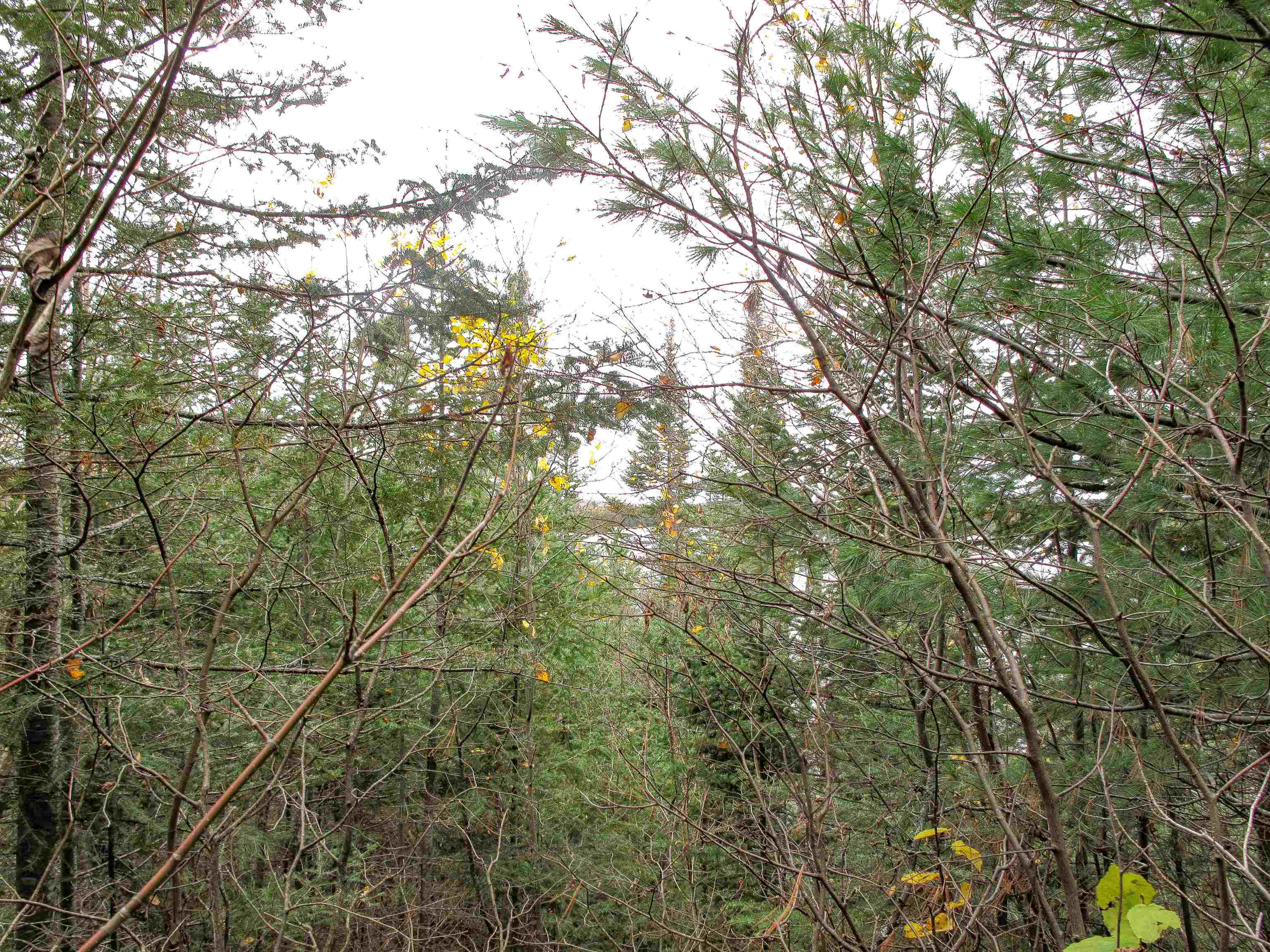 Lot 3 Fullerton Road Grand Marais, MN 55604 - Photo 31 of 39