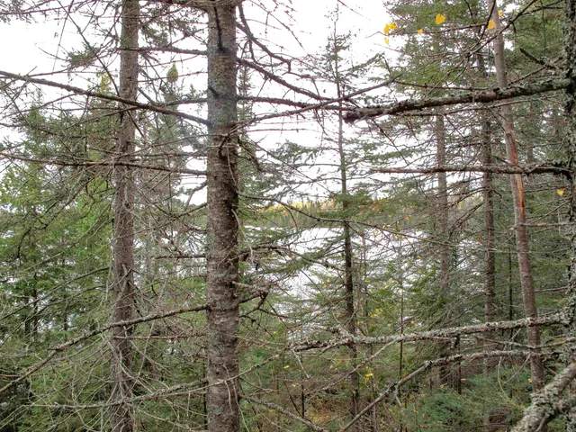 $600,000 | Lot 3 Fullerton Road, Grand Marais, MN 55604