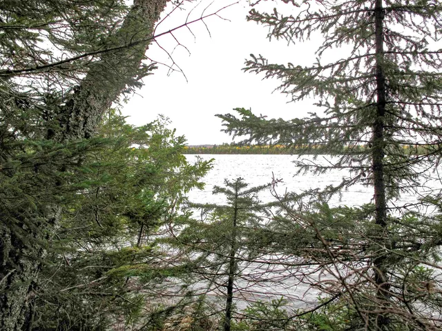 $600,000 | Lot 3 Fullerton Road, Grand Marais, MN 55604