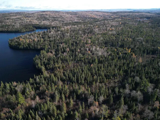 $600,000 | Lot 3 Fullerton Road, Grand Marais, MN 55604