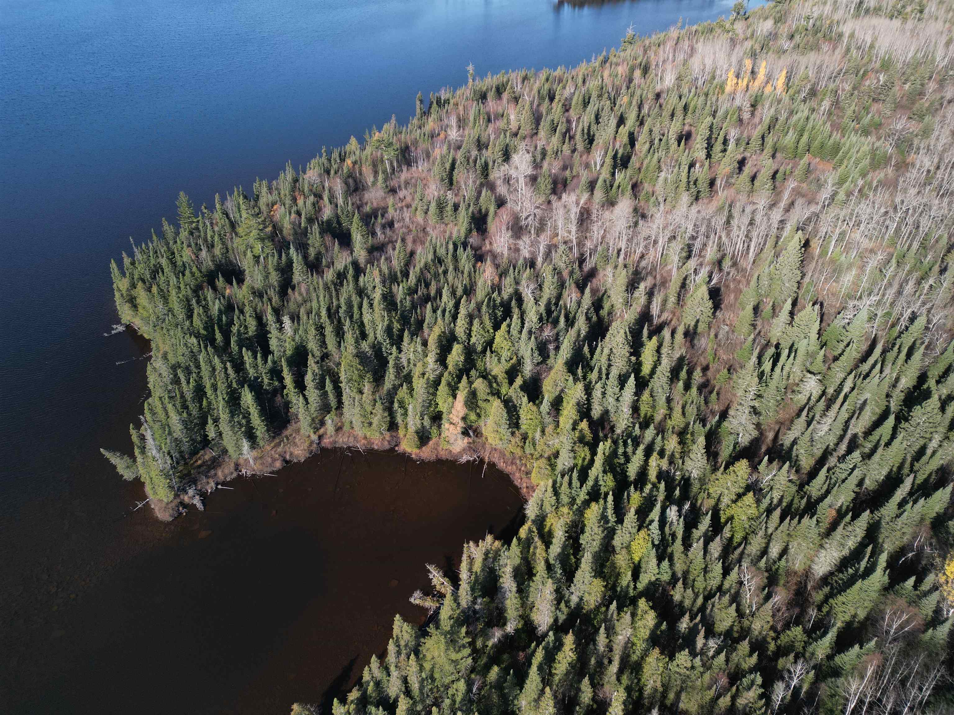 Lot 3 Fullerton Road Grand Marais, MN 55604 - Photo 10 of 39
