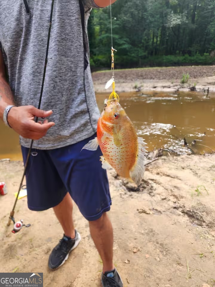 326 Turkey Run Dublin, GA 31021 - Photo 112 of 114