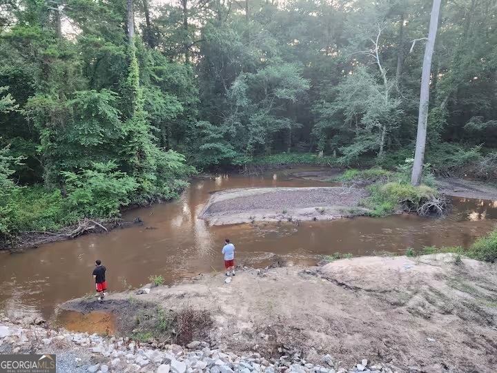 326 Turkey Run Dublin, GA 31021 - Photo 15 of 114 a view of a water fountain with trees in the background