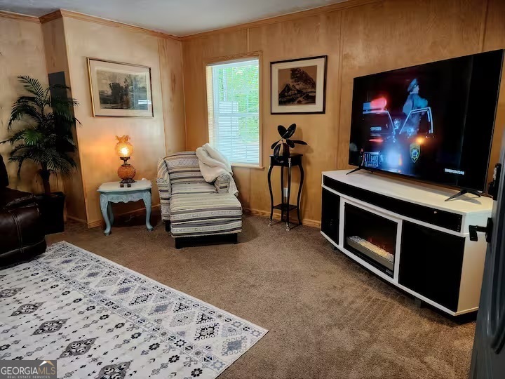 326 Turkey Run Dublin, GA 31021 - Photo 89 of 114 a living room with furniture a flat screen tv and a fireplace