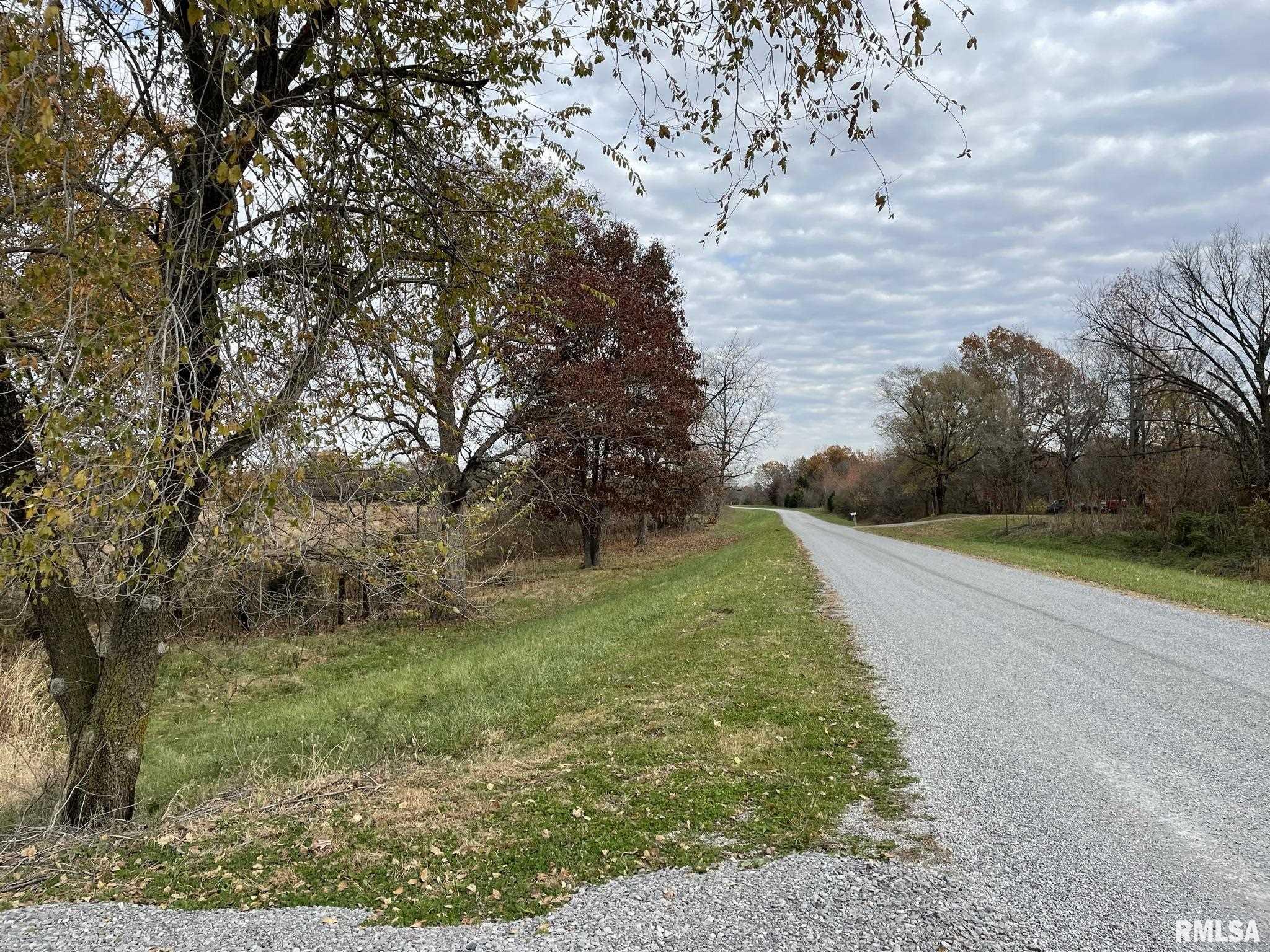 0 Rice Hill Road Grantsburg, IL 62943 - Photo 4 of 13