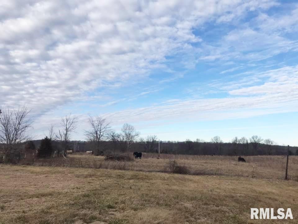 0 Rice Hill Road Grantsburg, IL 62943 - Photo 7 of 13