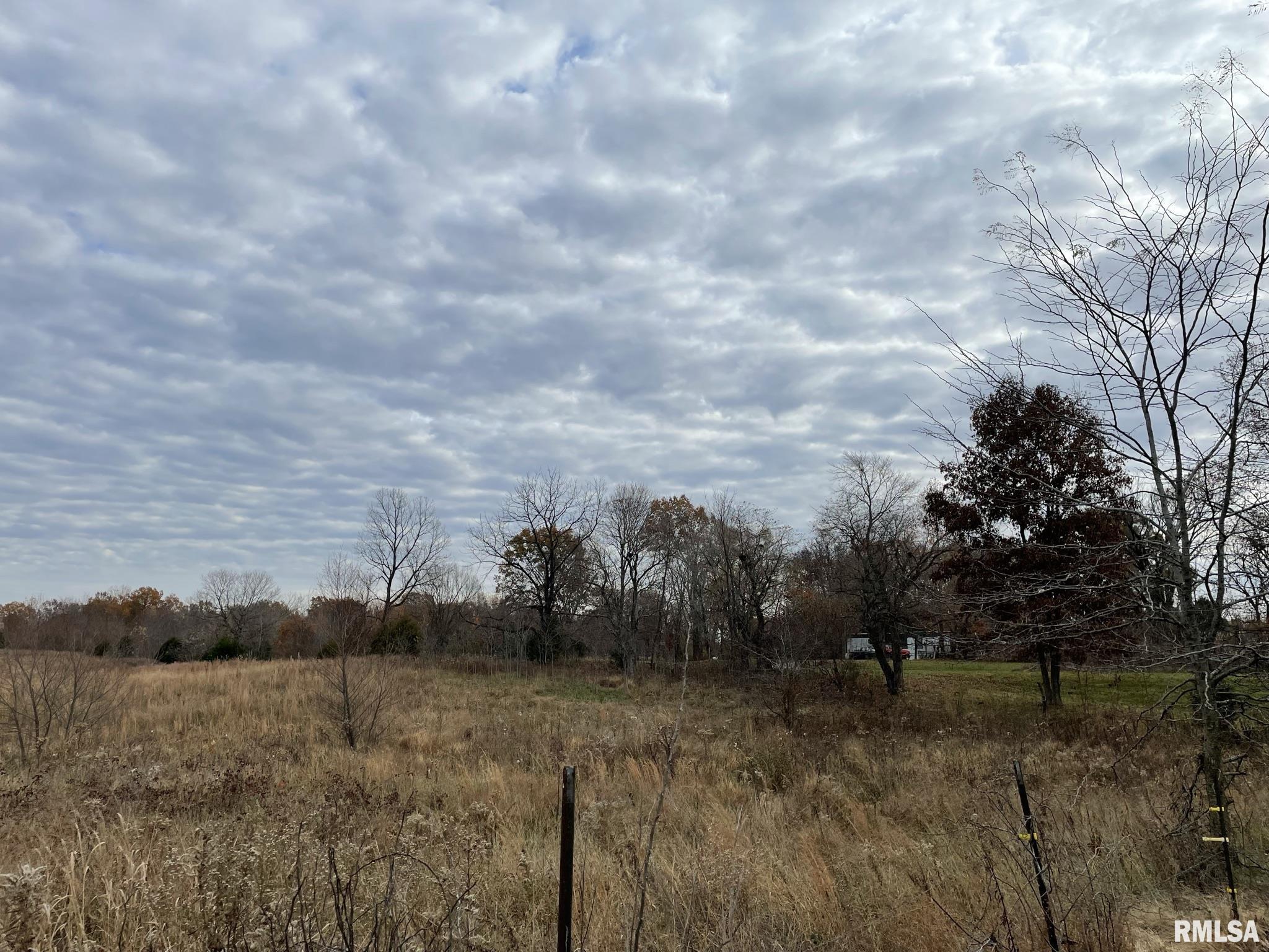 0 Rice Hill Road Grantsburg, IL 62943 - Photo 8 of 13