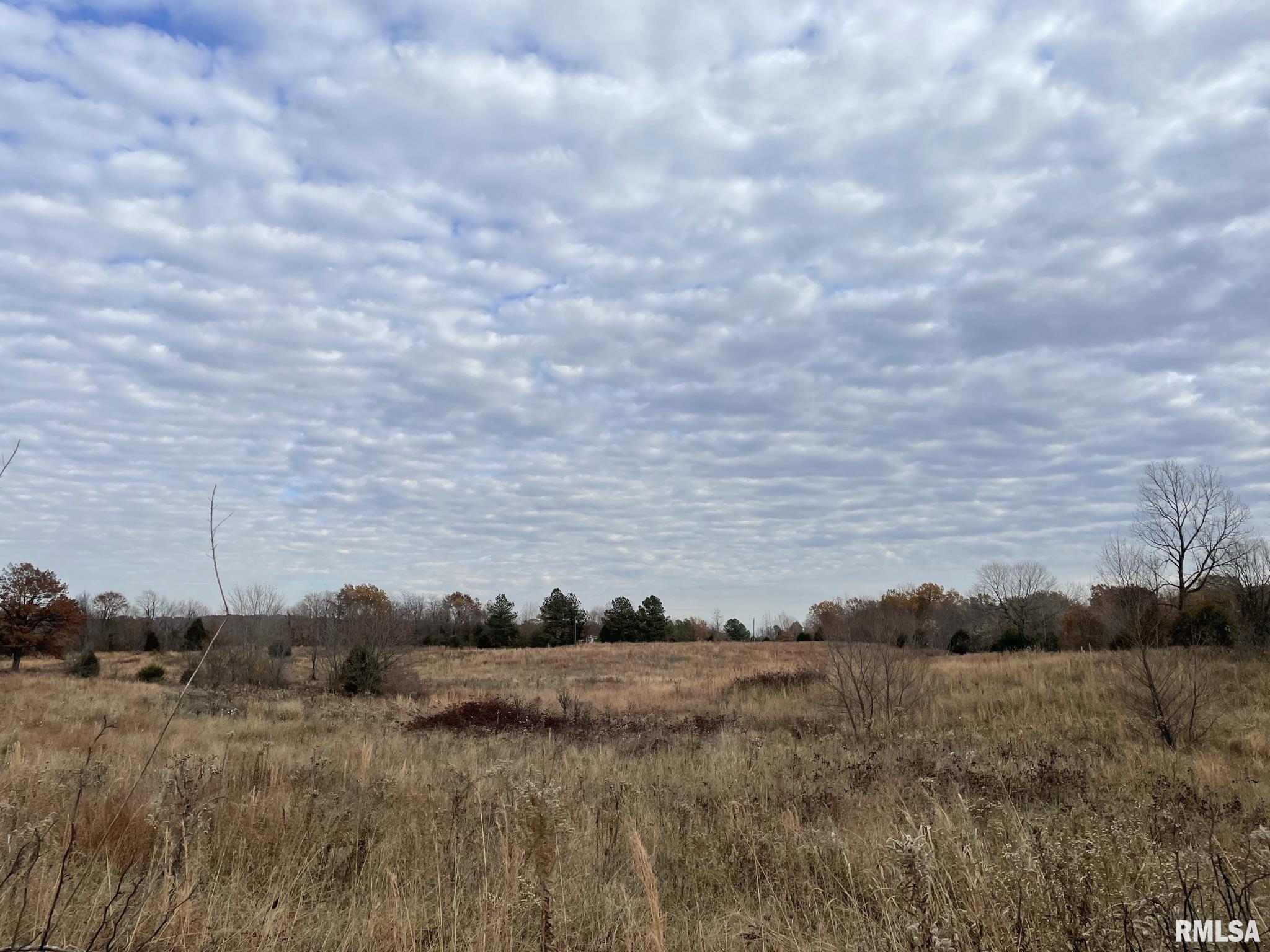 0 Rice Hill Road Grantsburg, IL 62943 - Photo 9 of 13