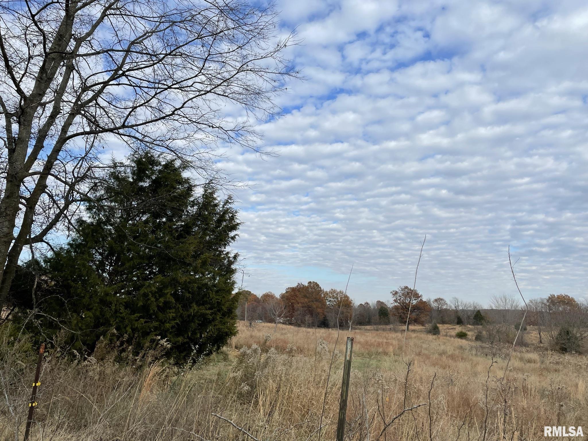 0 Rice Hill Road Grantsburg, IL 62943 - Photo 10 of 13