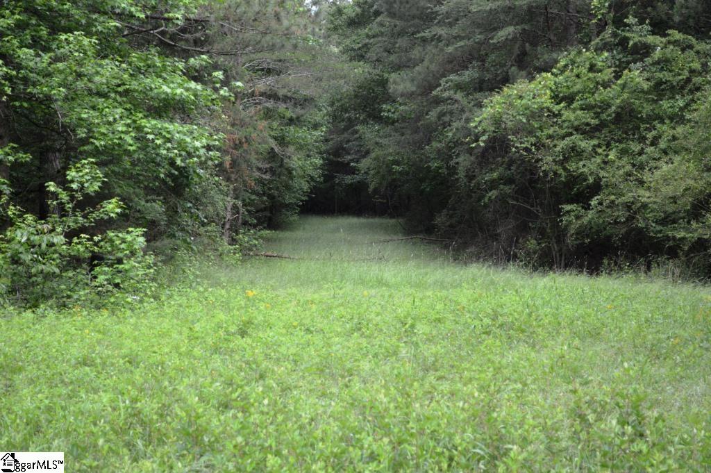 0 Ponderosa Point Road Townville, SC 29689 - Photo 11 of 24 Gallery Image 11