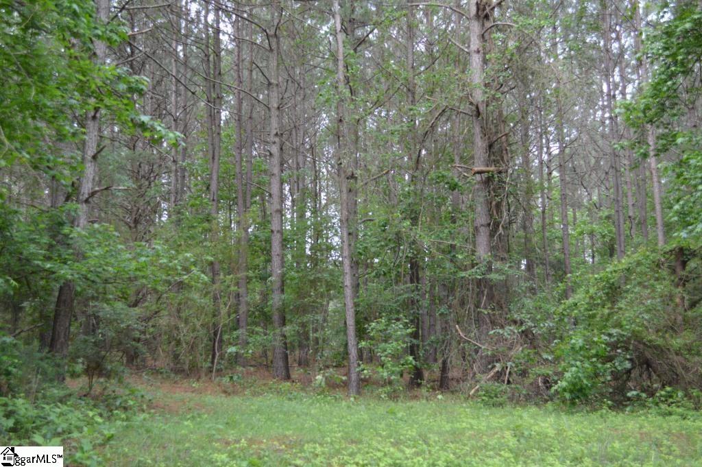 0 Ponderosa Point Road Townville, SC 29689 - Photo 4 of 24 Gallery Image 4