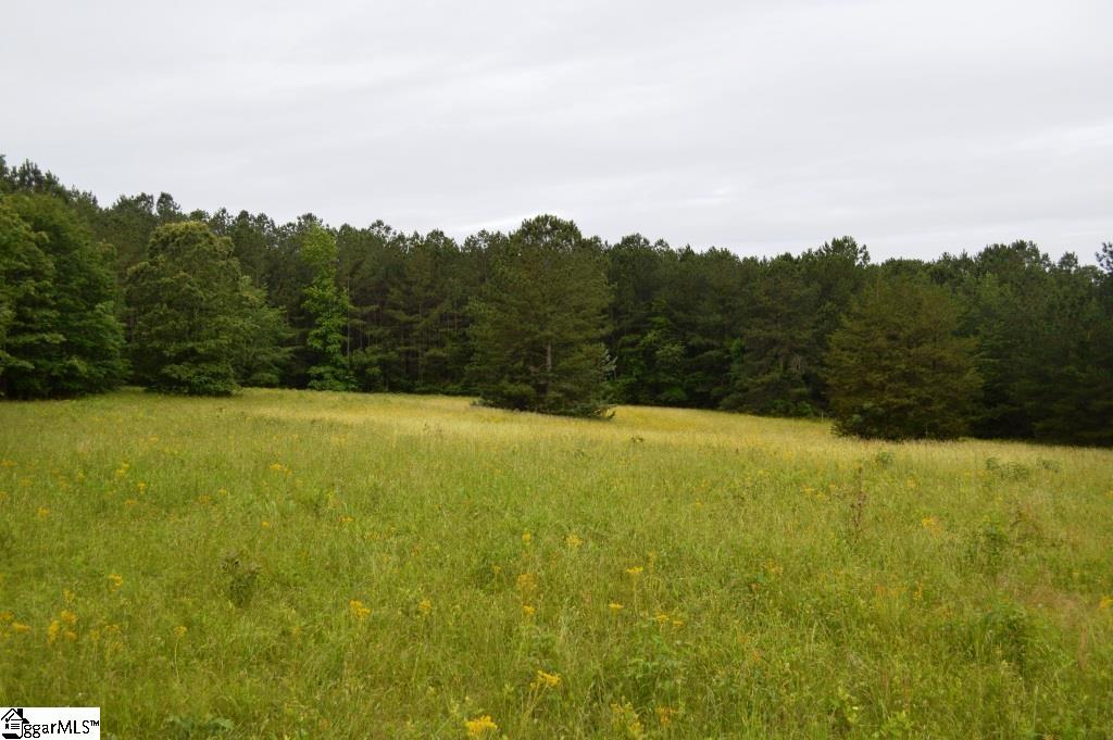 0 Ponderosa Point Road Townville, SC 29689 - Photo 8 of 24 Gallery Image 8