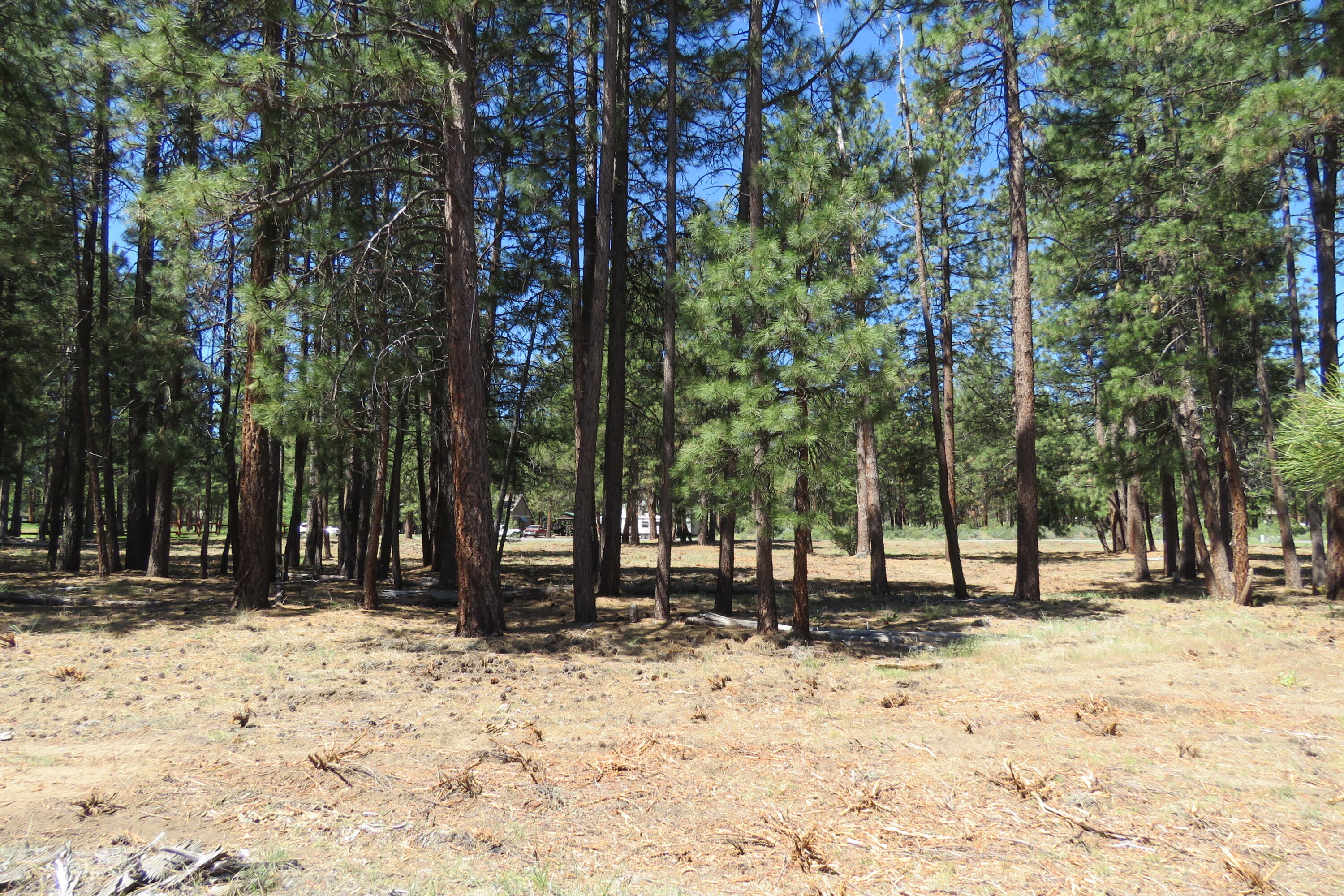 7 Castle Drive Chiloquin, OR 97624 - Photo 17 of 26 IMG_4609