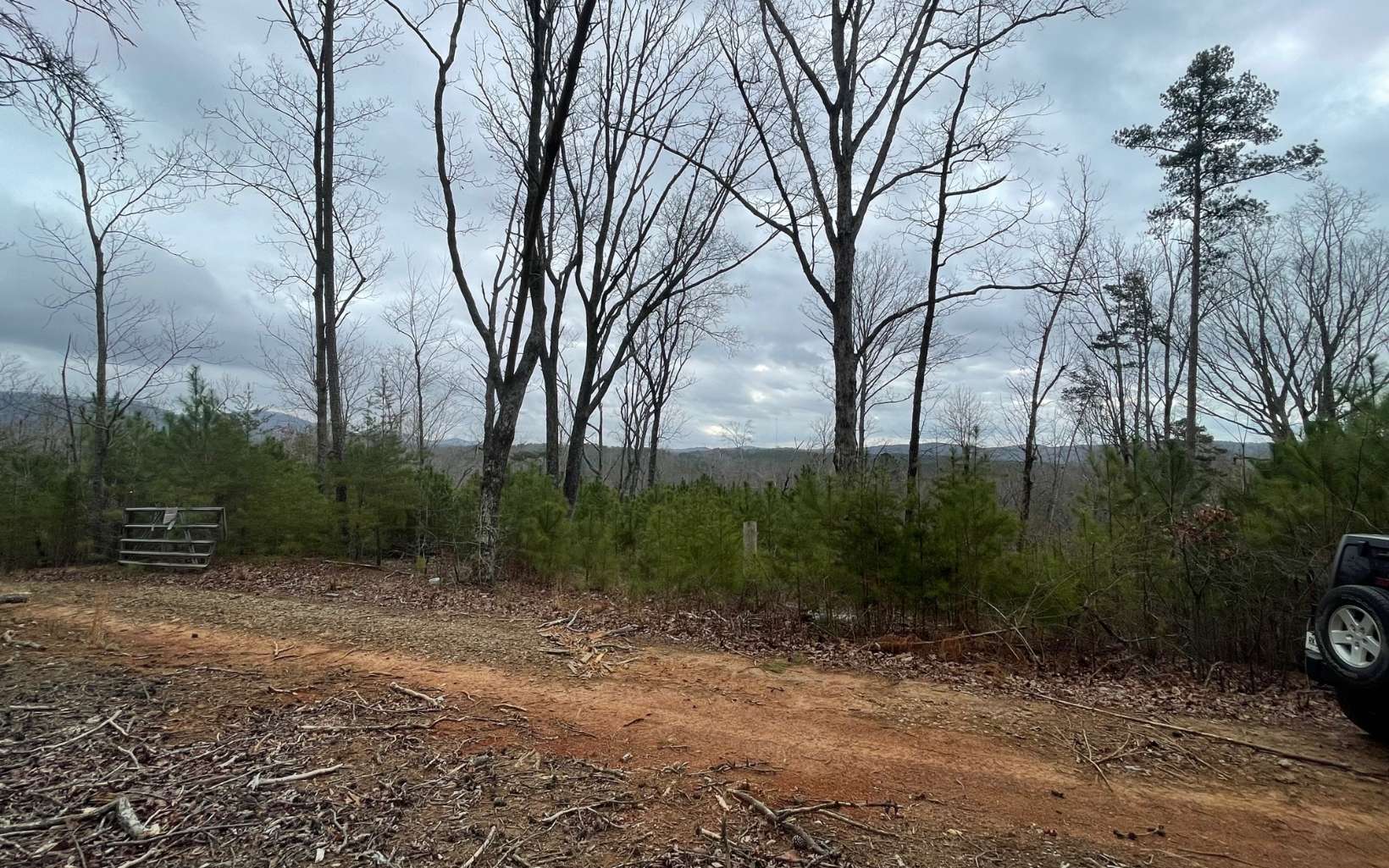 709 High Knoll Road Jasper, GA 30143 - Photo 28 of 46 Additional View