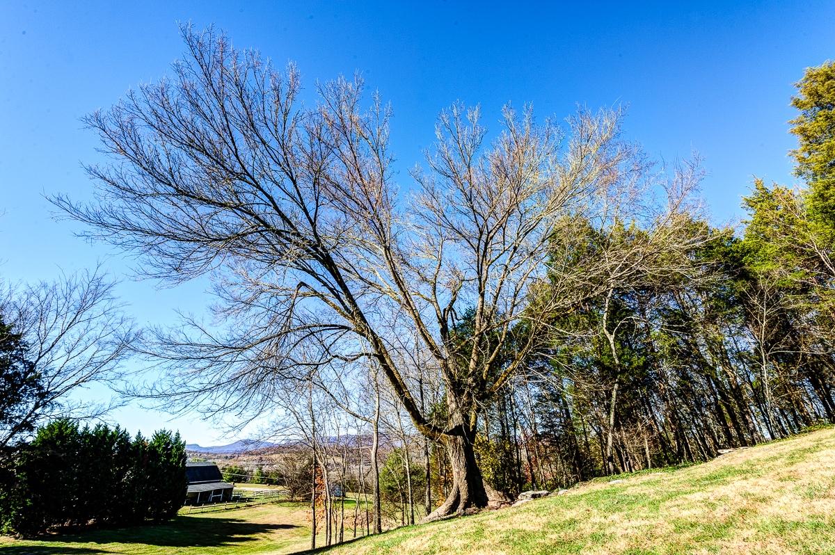 280 Lone Ridge Lane Clinton, TN 37716 - Photo 16 of 22 _ELF8106_HDR