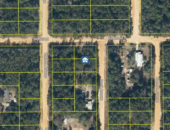 $7,450 | Lot 30 David Avenue, Interlachen, FL 32148