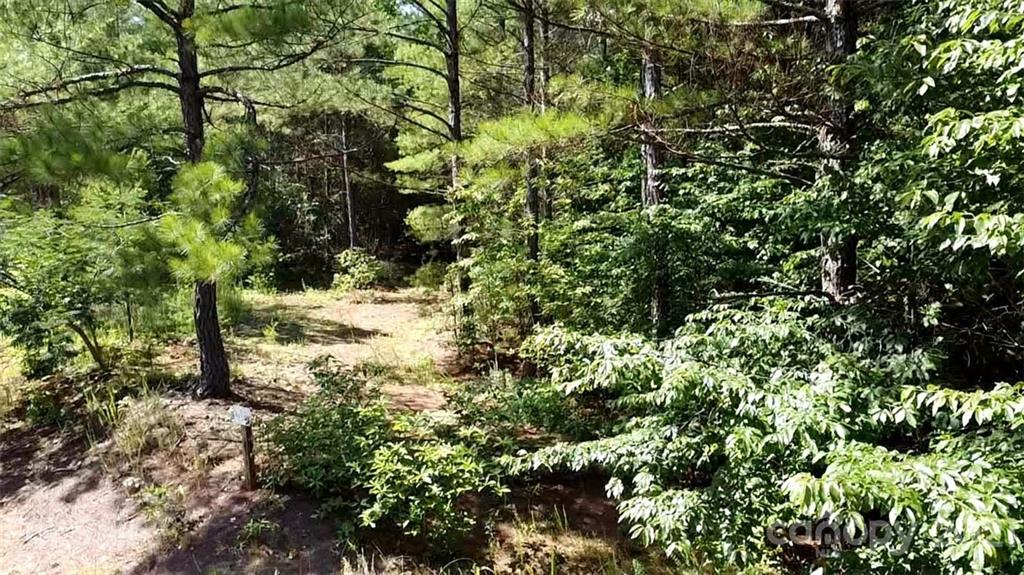 0 Collette Ridge Circle, Unit 60 Collettsville, NC 28611 - Photo 10 of 21 Gallery Image 10