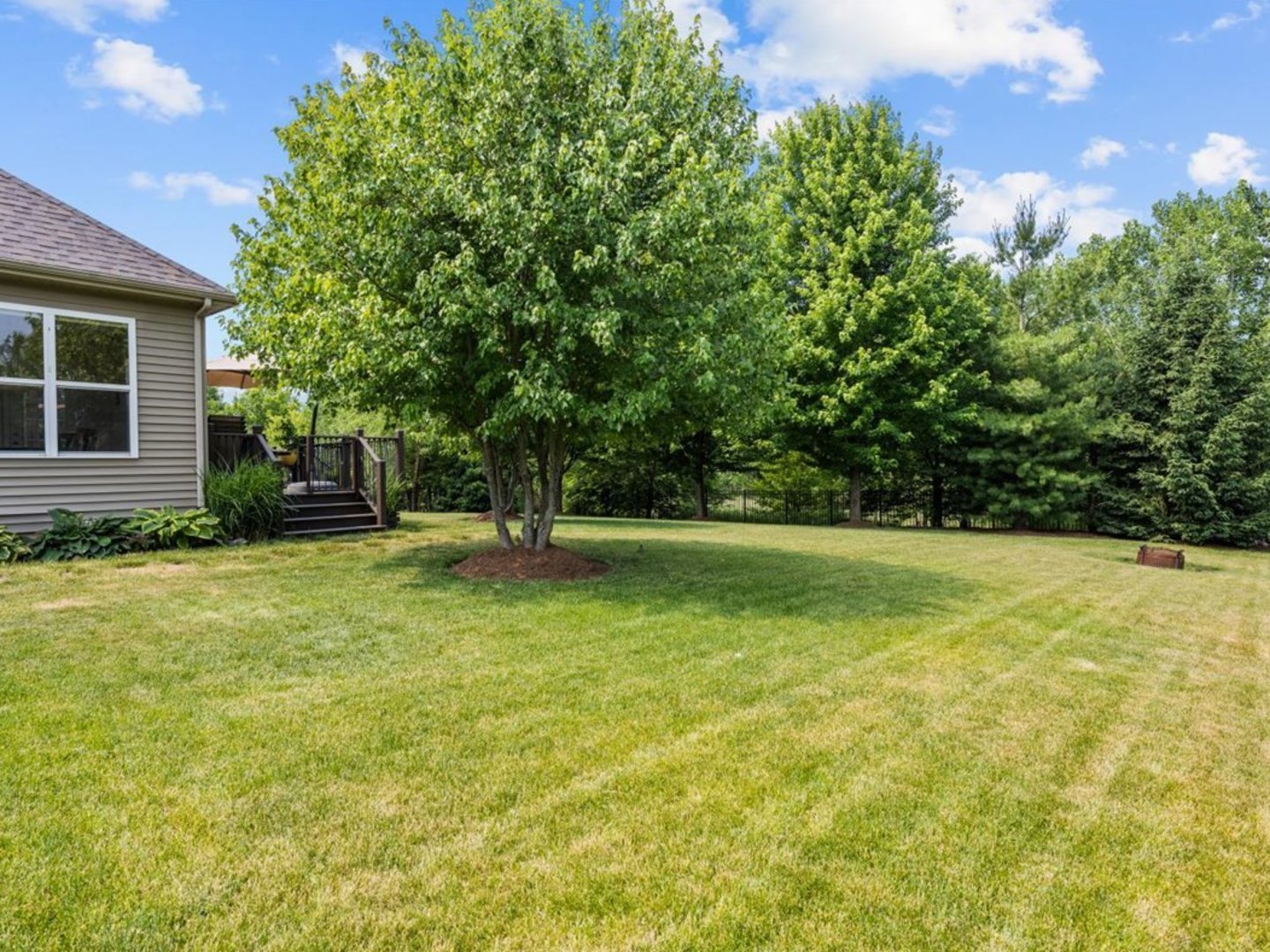 1090 Deerpath Road Aurora, IL 60506 - Photo 26 of 28 a view of a house with a backyard