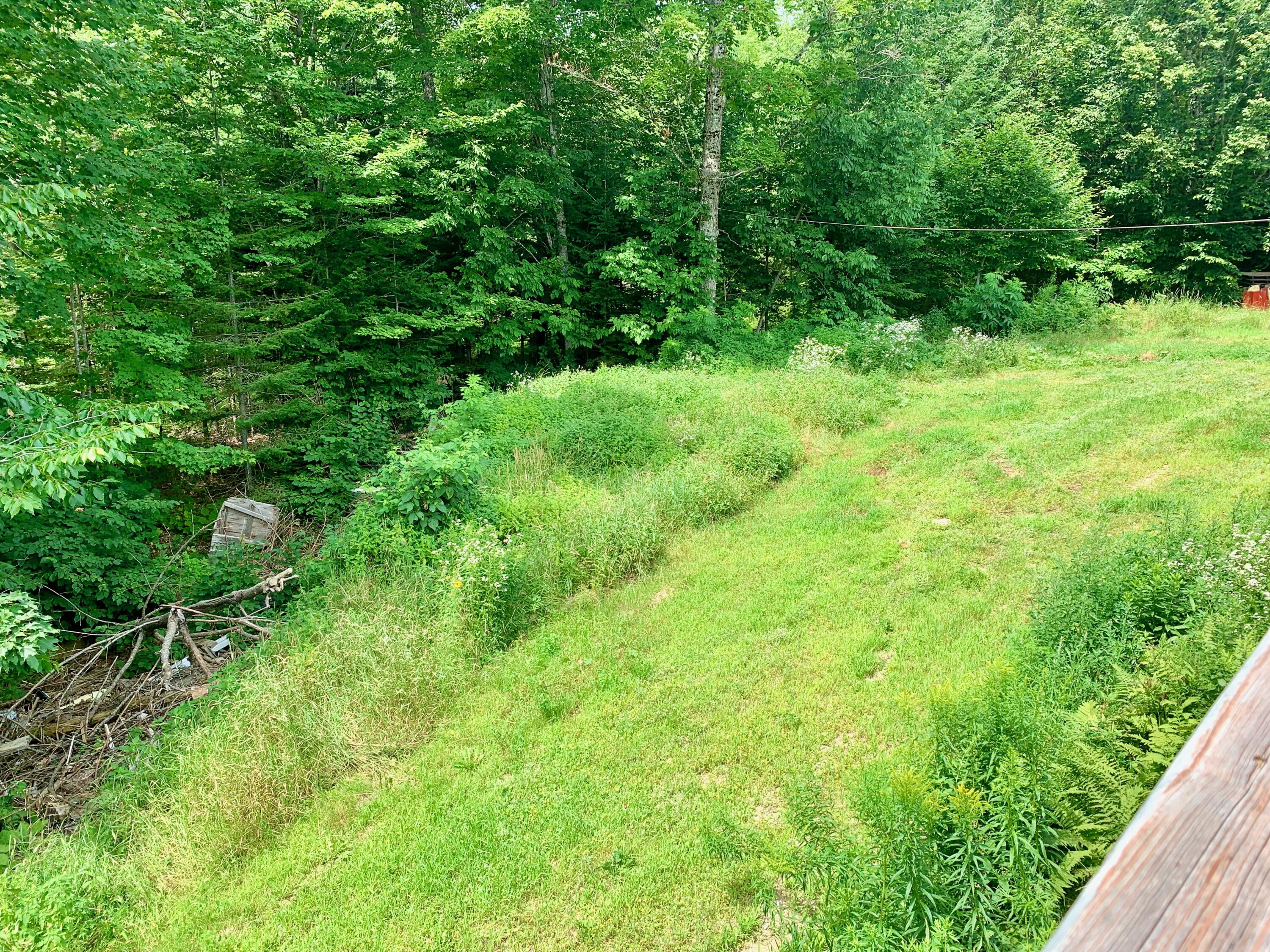 131 Davis Road Alexander, ME 04694 - Photo 15 of 48 IMG_9393
