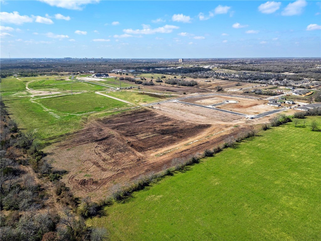 10715 Blocker Court Bryan, TX 77845 - Photo 6 of 7 a view of a big room with a big yard