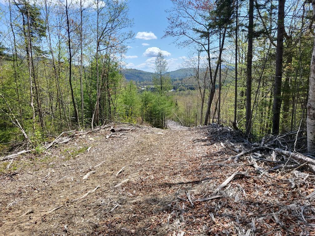Lot 11 Swift River Road Byron, ME 04275 - Photo 24 of 72 photo_392d3abe-d162-4d4b-a4fc-ff0210c2e0