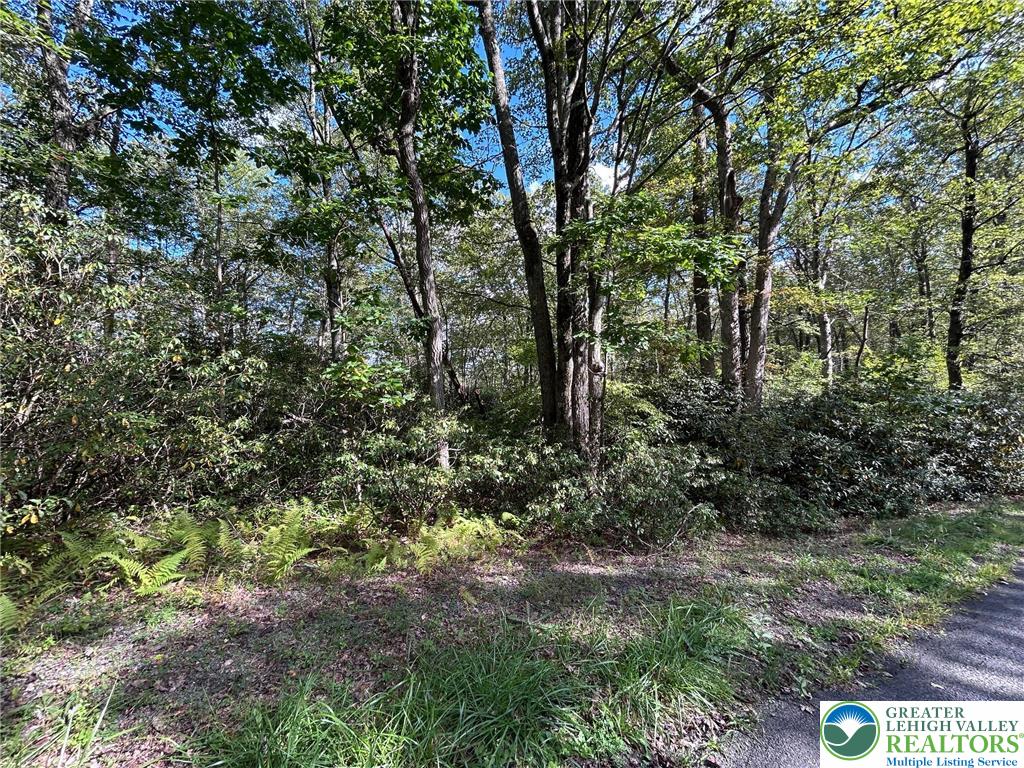 A12 Rhododendron Road Jim Thorpe, PA 18229 - Photo 1 of 5 Gallery Image 1