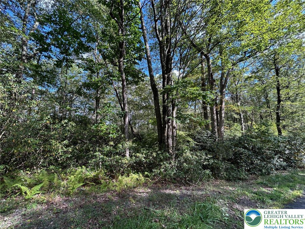 A12 Rhododendron Road Jim Thorpe, PA 18229 - Photo 2 of 5 Gallery Image 2