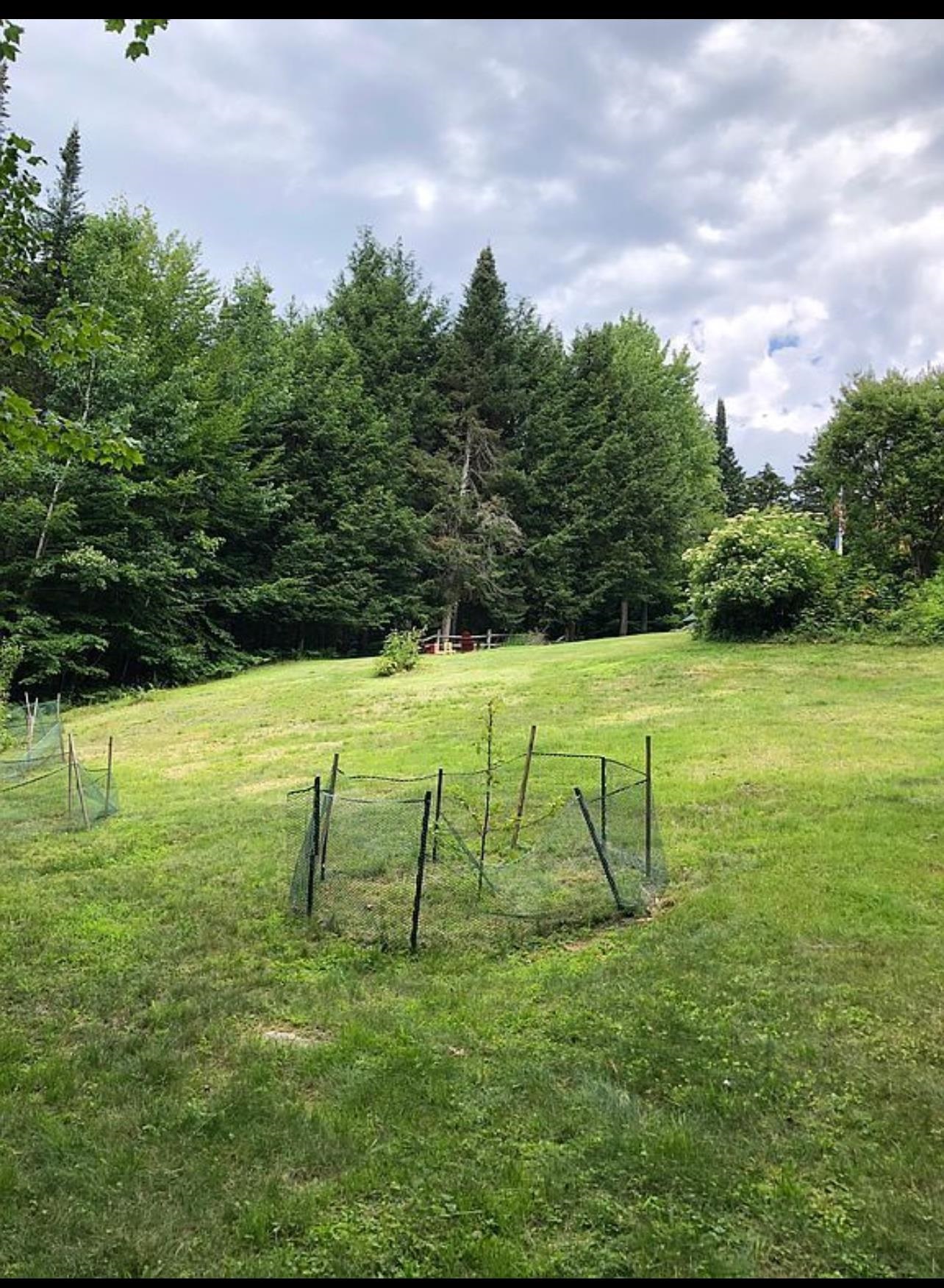 28 Little Hill Road Middlesex, VT 05602 - Photo 24 of 40 Gallery Image 24