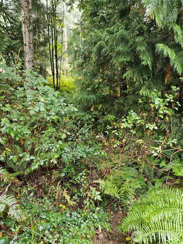 a backyard of a house with lots of green space and trees all around
