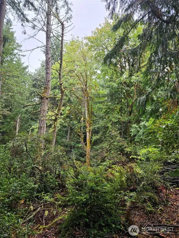 $150,000 | 225-nka Dietz Drive, Quilcene, WA 98376