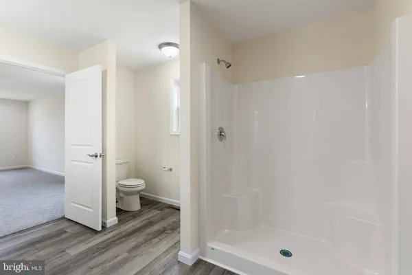 a bathroom with a shower and a toilet