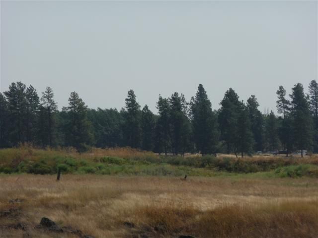 0 Cheney Spangle Road Cheney, WA 99004 - Photo 3 of 8