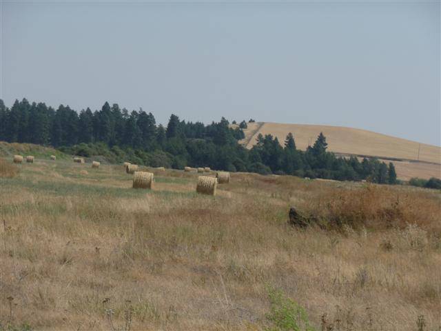 0 Cheney Spangle Road Cheney, WA 99004 - Photo 4 of 8