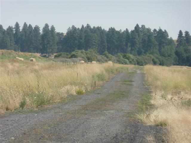 0 Cheney Spangle Road Cheney, WA 99004 - Photo 5 of 8