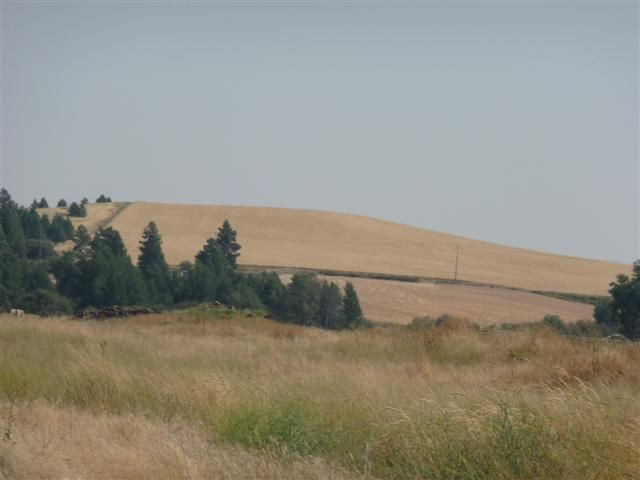 0 Cheney Spangle Road Cheney, WA 99004 - Photo 6 of 8