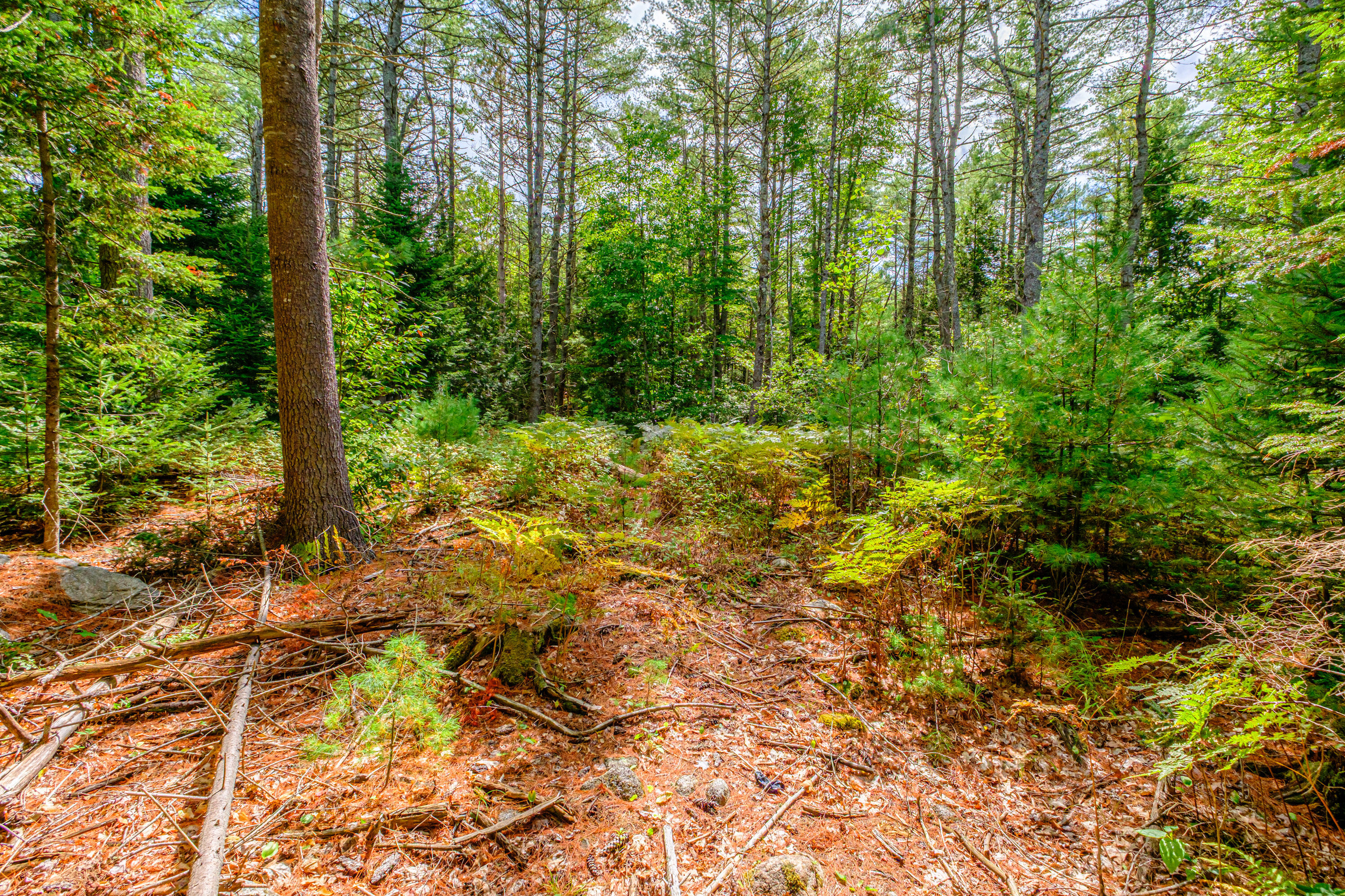 507 Norway Road Harrison, ME 04040 - Photo 63 of 71 20250908gp-60062