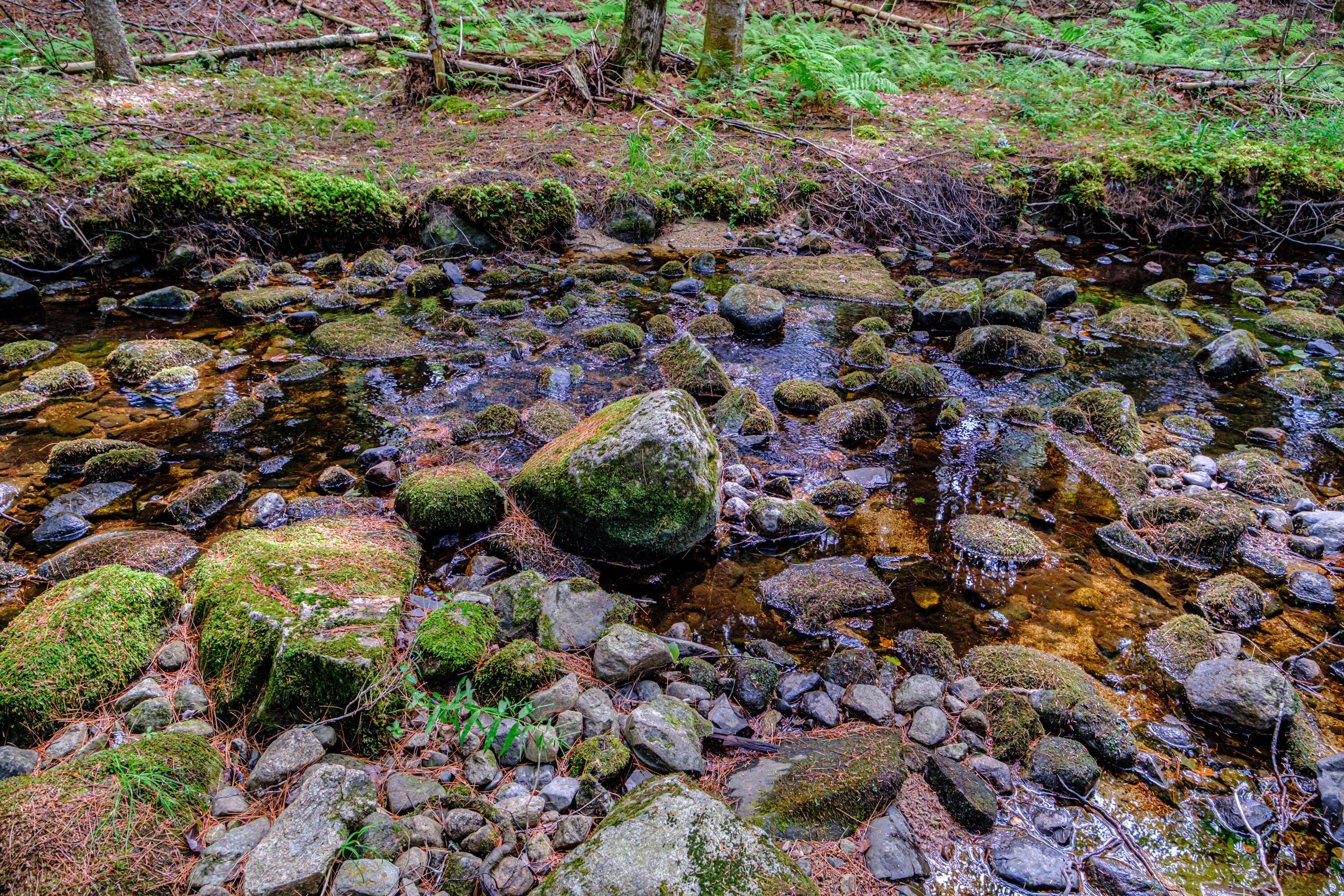 507 Norway Road Harrison, ME 04040 - Photo 66 of 71 20250908gp-60065