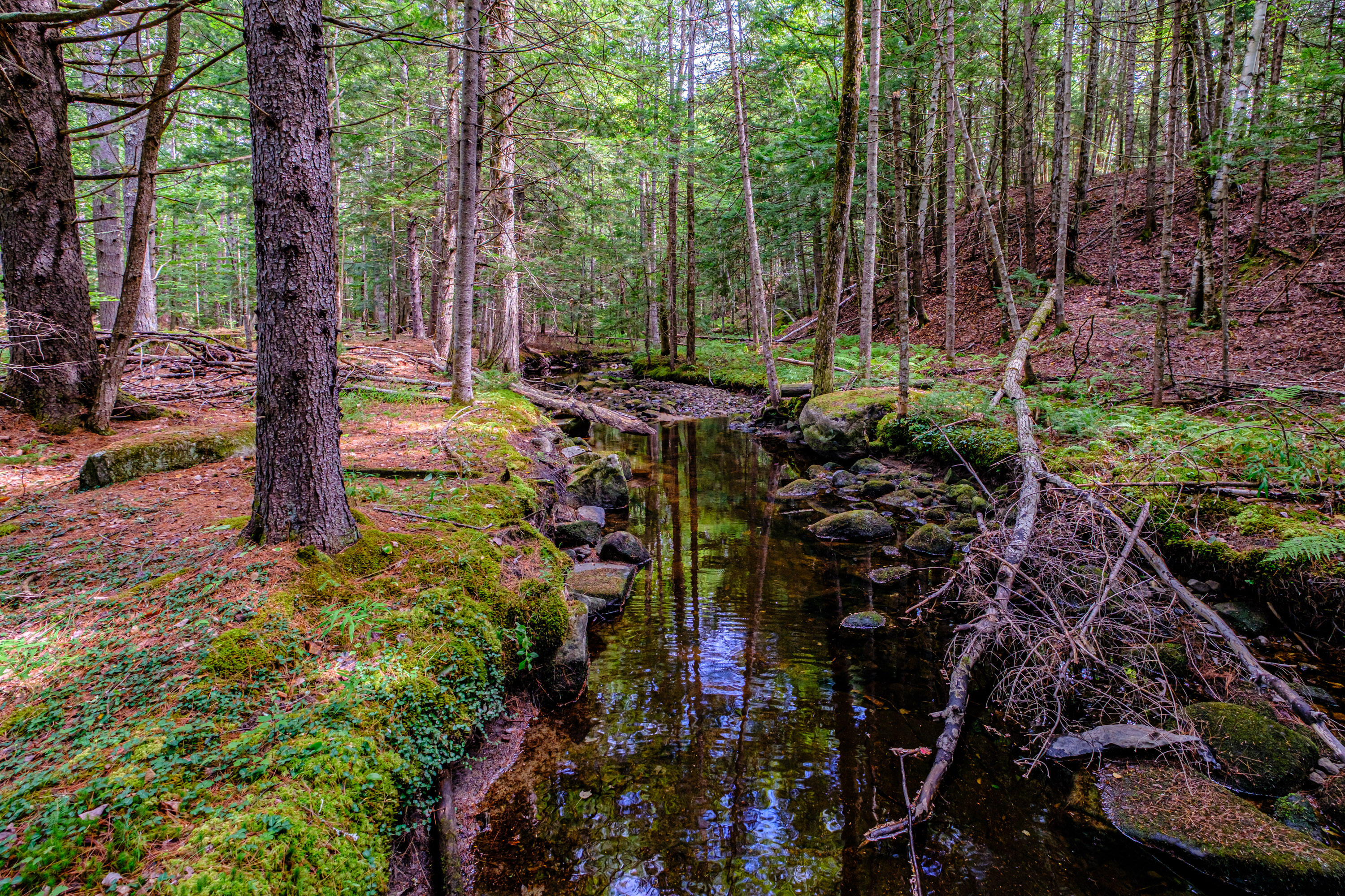 507 Norway Road Harrison, ME 04040 - Photo 68 of 71 20250908gp-60067