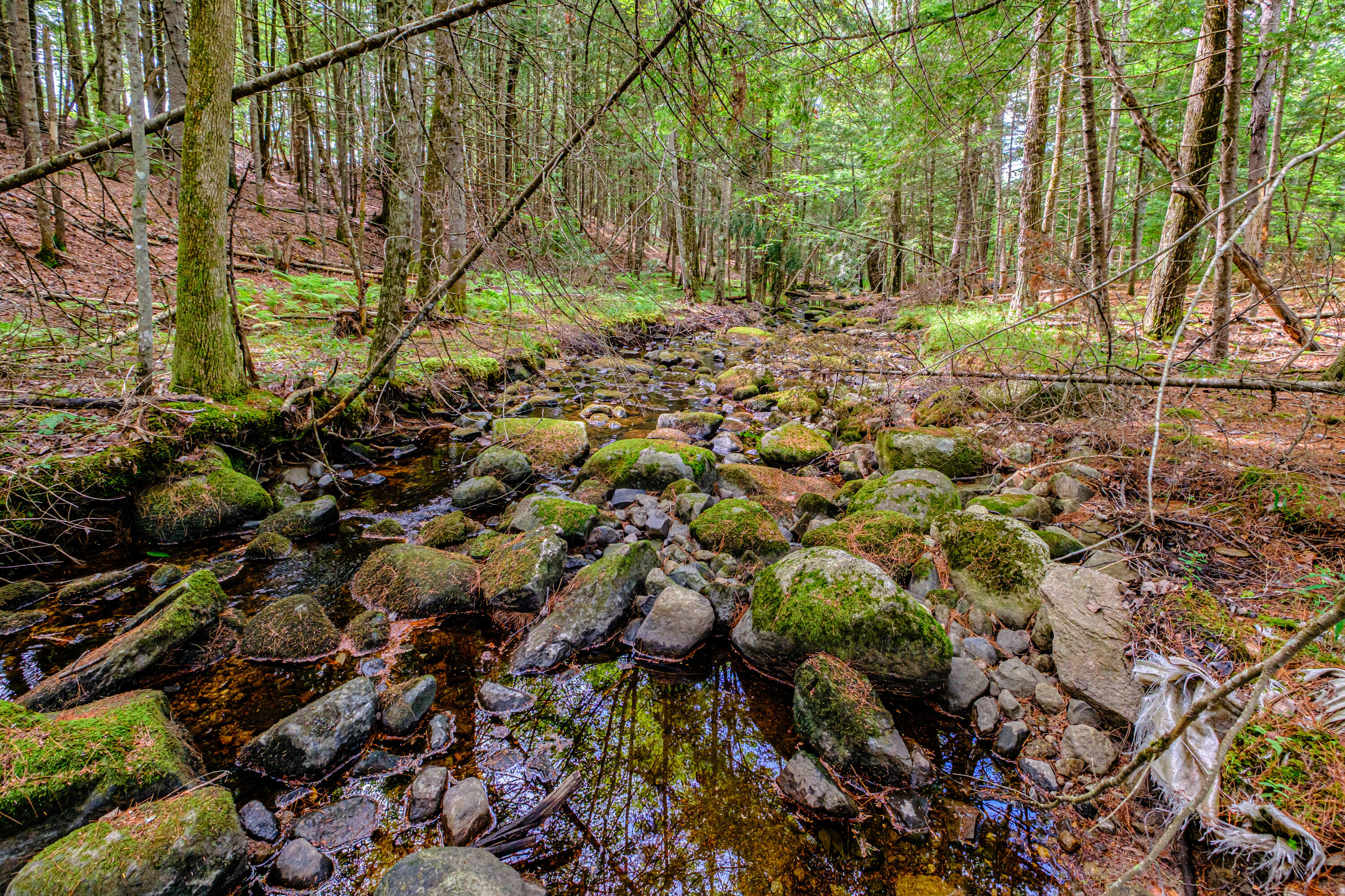 507 Norway Road Harrison, ME 04040 - Photo 69 of 71 20250908gp-60068