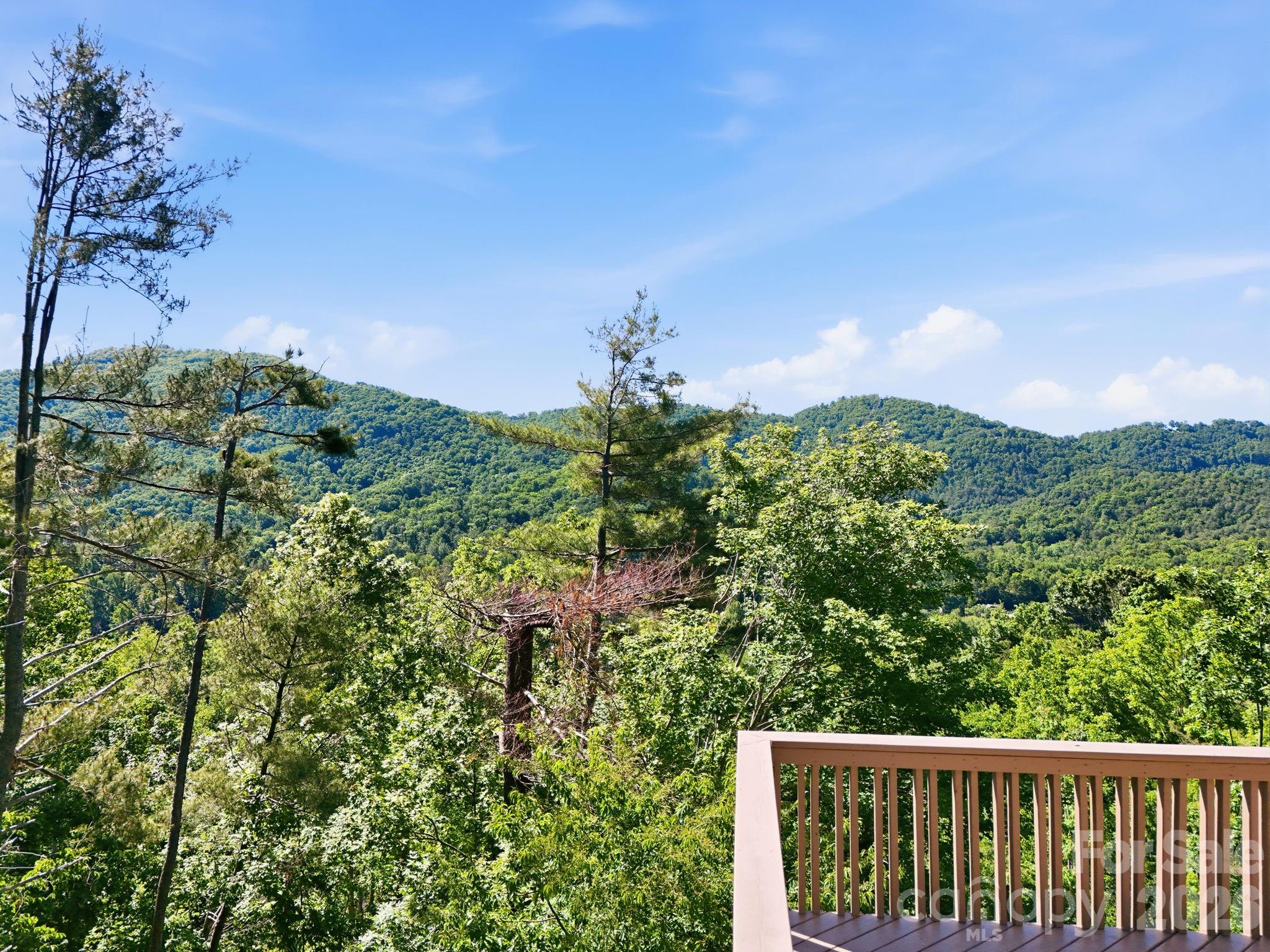 68 Stony Ridge Asheville, NC 28804 - Photo 32 of 48