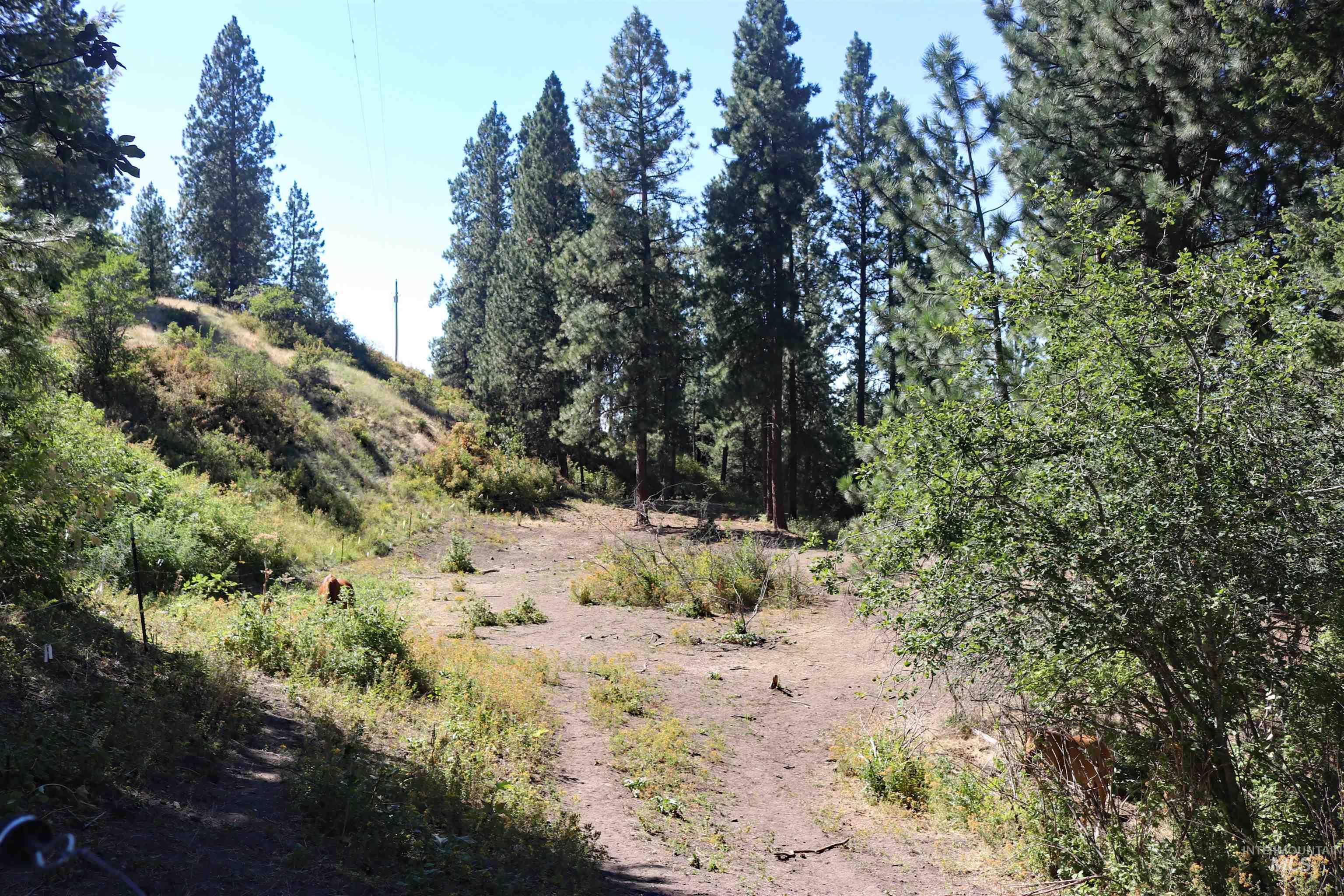 37596 Eberhardt Road Lenore, ID 83541 - Photo 43 of 48