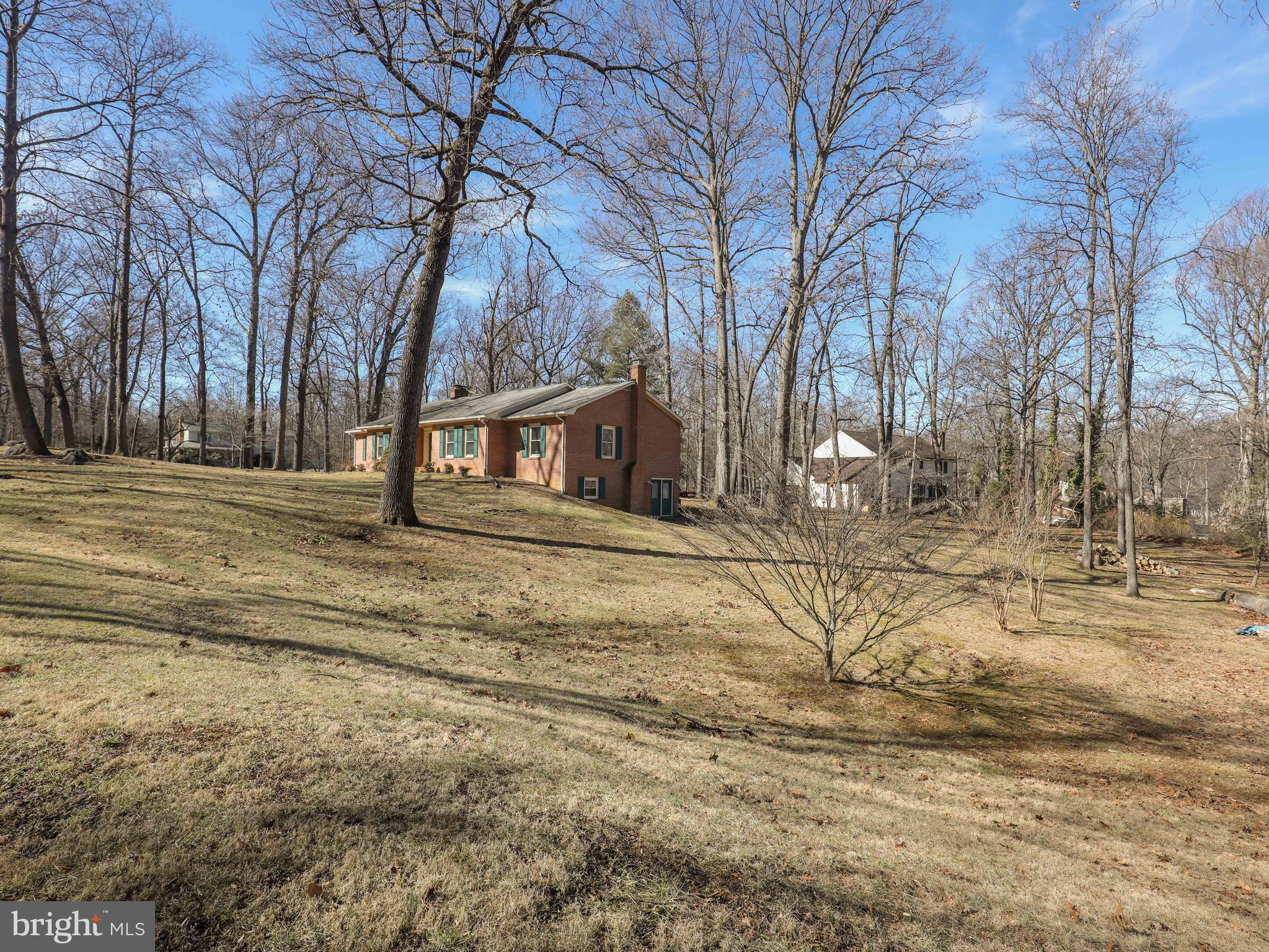 163 Old Forest Circle Winchester, VA 22602 - Photo 7 of 41 Wooded lot