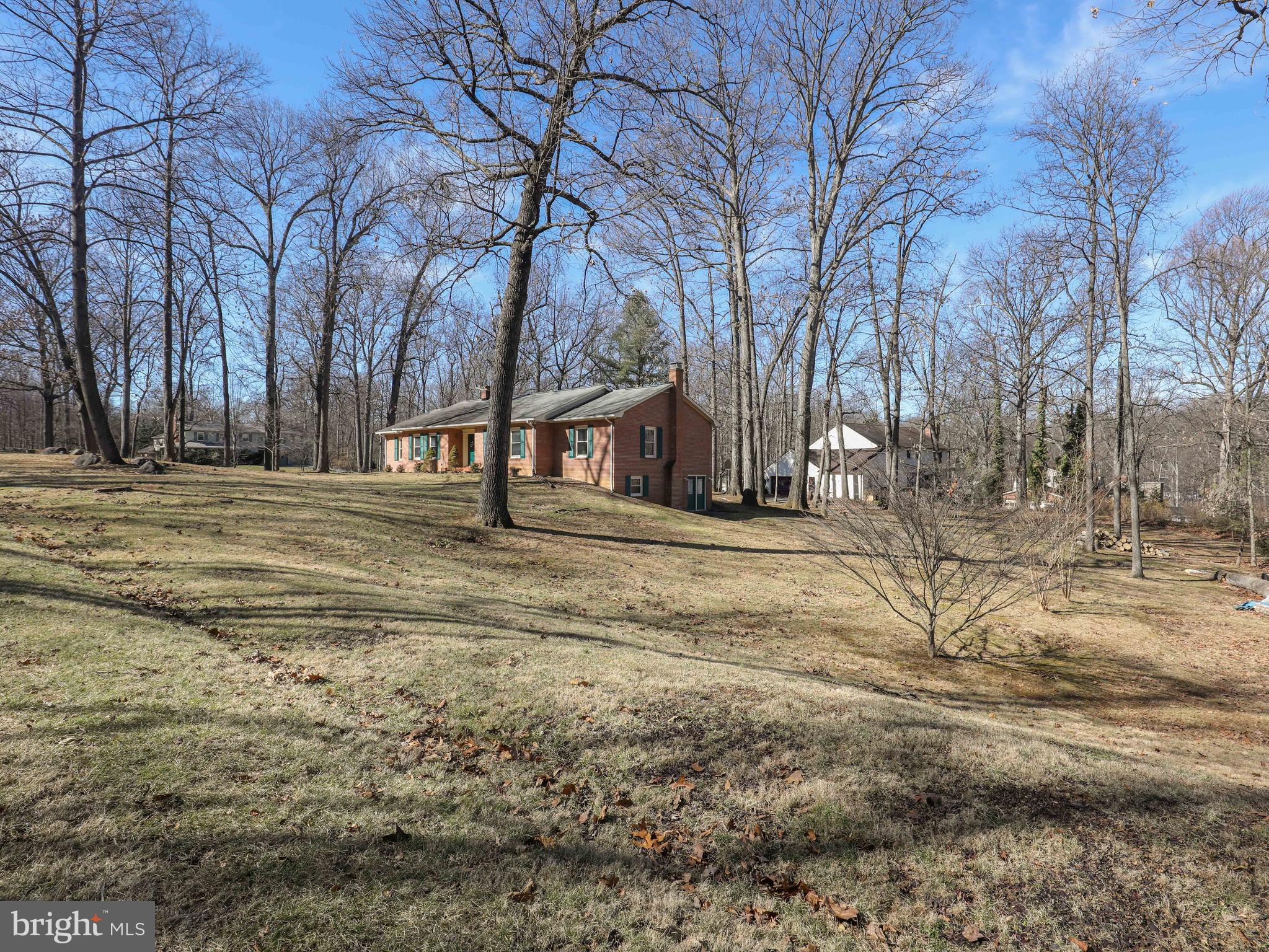 163 Old Forest Circle Winchester, VA 22602 - Photo 8 of 41 Wooded lot
